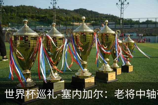 世界杯巡礼-塞内加尔：老将中轴带来安全感，非洲顶流前景可期！
